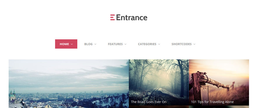 entrance-wp-theme