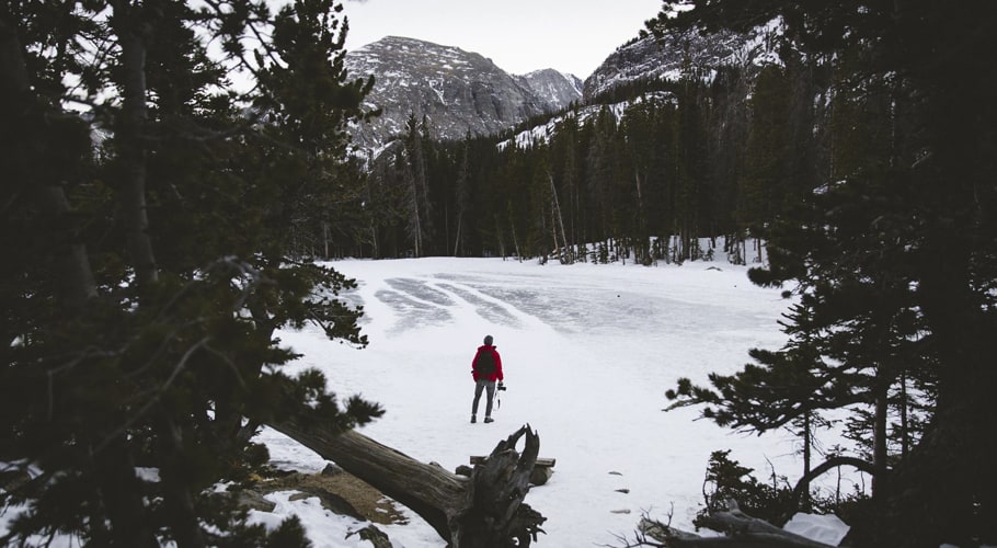 Snow and trees wallpapers