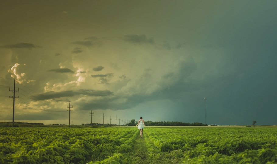 Woman walking through a green field wallpapers